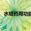 水蛭药用功能是什么（水蛭又叫什么名字）