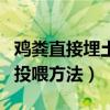 鸡粪直接埋土里多久可以种菜（鸡粪喂鱼正确投喂方法）