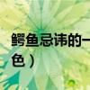 鳄鱼忌讳的一种颜色是什么（鳄鱼忌讳什么颜色）