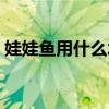 娃娃鱼用什么水才能活（娃娃鱼需要多少水）