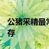 公猪采精最常用的方法 精子怎么稀释 怎么保存