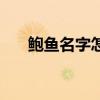 鲍鱼名字怎么叫好听（鲍鱼名字由来）