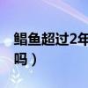 鲳鱼超过2年会影响口感吗（白鲳鱼会吃小鱼吗）