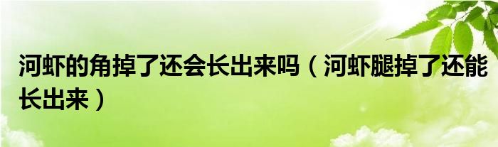 河虾的角掉了还会长出来吗（河虾腿掉了还能长出来）