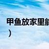 甲鱼放家里能养几天（甲鱼放家里养需要水吗）