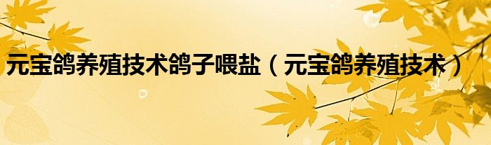 元宝鸽养殖技术鸽子喂盐（元宝鸽养殖技术）