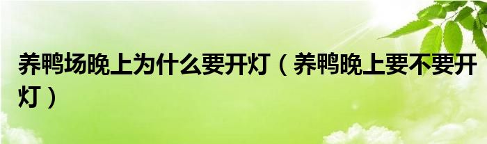 养鸭场晚上为什么要开灯（养鸭晚上要不要开灯）