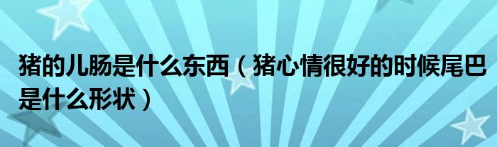 猪的儿肠是什么东西（猪心情很好的时候尾巴是什么形状）