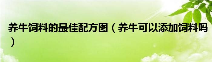 养牛饲料的最佳配方图（养牛可以添加饲料吗）