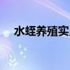 水蛭养殖实用技术（水蛭科学养殖技术）