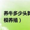 养牛多少头算规模可以批地（养牛多少头算规模养殖）