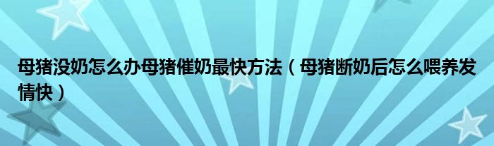 母猪没奶怎么办母猪催奶最快方法（母猪断奶后怎么喂养发情快）