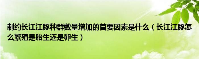 制约长江江豚种群数量增加的首要因素是什么（长江江豚怎么繁殖是胎生还是卵生）