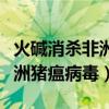 火碱消杀非洲猪瘟病毒吗（火碱多久能杀死非洲猪瘟病毒）