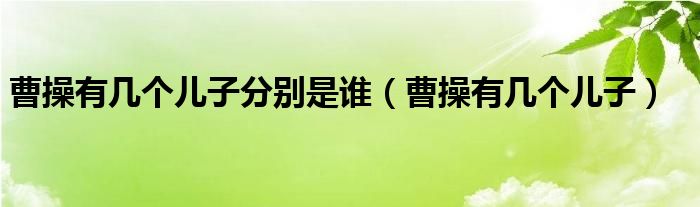 曹操有几个儿子分别是谁（曹操有几个儿子）