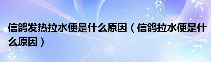 信鸽发热拉水便是什么原因（信鸽拉水便是什么原因）