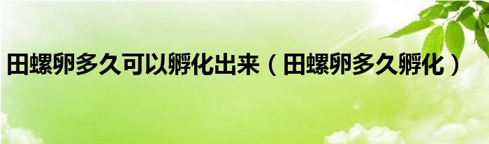 田螺卵多久可以孵化出来（田螺卵多久孵化）