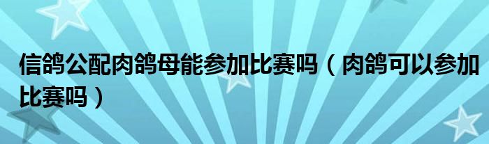 信鸽公配肉鸽母能参加比赛吗（肉鸽可以参加比赛吗）