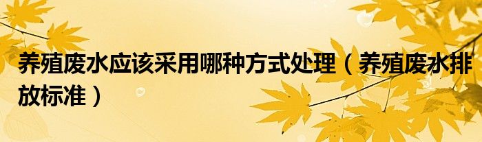 养殖废水应该采用哪种方式处理（养殖废水排放标准）