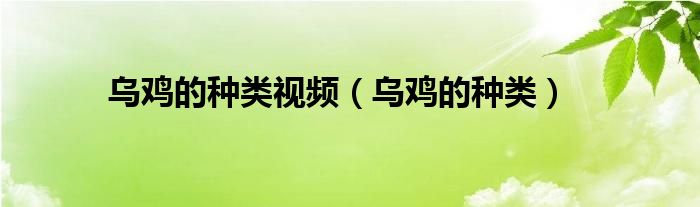 乌鸡的种类视频（乌鸡的种类）