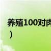 养殖100对肉鸽成本计算方式（肉鸽怎么高产）