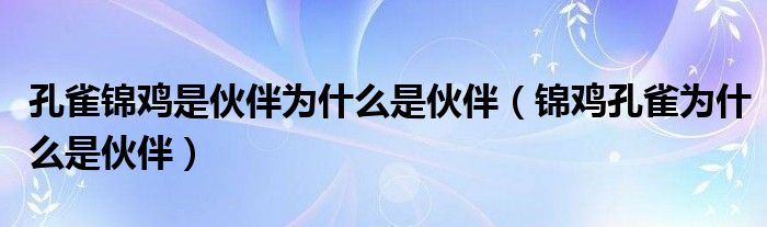 孔雀锦鸡是伙伴为什么是伙伴（锦鸡孔雀为什么是伙伴）