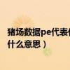 猪场数据pe代表什么（猪场生产成本由哪些构成猪场ped是什么意思）