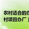 农村适合的办厂项目（适合农村办厂的项目农村项目办厂）