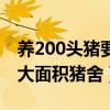 养200头猪要多大面积猪舍（养200头猪要多大面积猪舍）