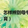 怎样辨别母牛不能生育（什么样的母牛不能生育）