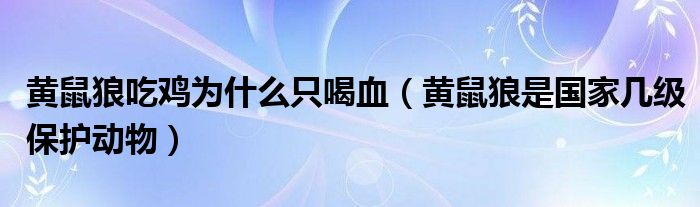 黄鼠狼吃鸡为什么只喝血（黄鼠狼是国家几级保护动物）