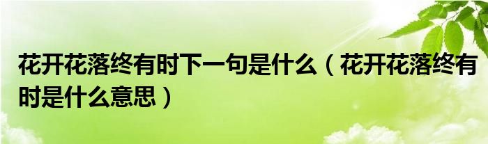 花开花落终有时下一句是什么（花开花落终有时是什么意思）