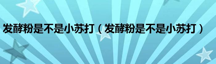 发酵粉是不是小苏打（发酵粉是不是小苏打）