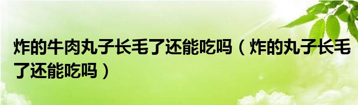 炸的牛肉丸子长毛了还能吃吗（炸的丸子长毛了还能吃吗）