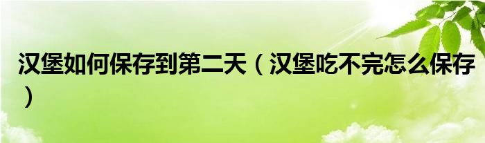 汉堡如何保存到第二天（汉堡吃不完怎么保存）