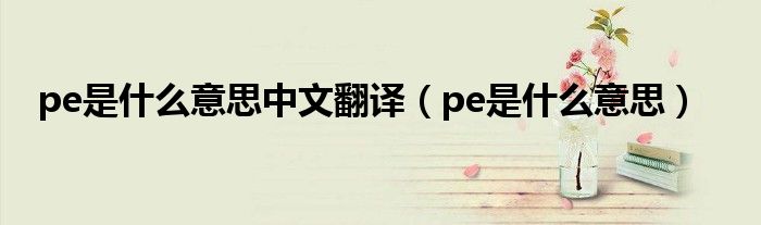 pe是什么意思中文翻译（pe是什么意思）