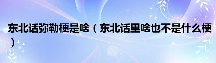 东北话弥勒梗是啥（东北话里啥也不是什么梗）