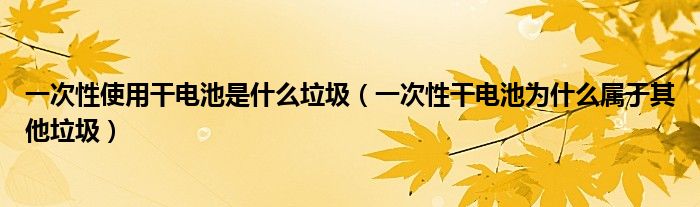 一次性使用干电池是什么垃圾（一次性干电池为什么属于其他垃圾）