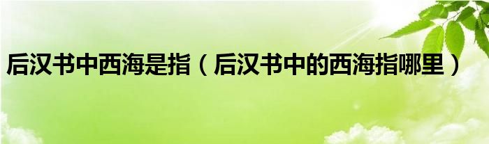 后汉书中西海是指（后汉书中的西海指哪里）