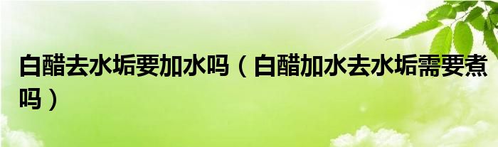 白醋去水垢要加水吗（白醋加水去水垢需要煮吗）