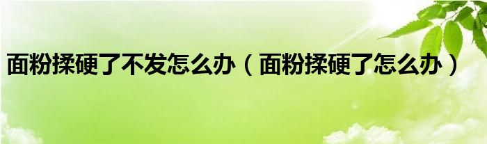 面粉揉硬了不发怎么办（面粉揉硬了怎么办）