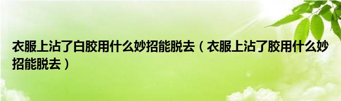 衣服上沾了白胶用什么妙招能脱去（衣服上沾了胶用什么妙招能脱去）