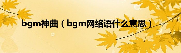 bgm神曲（bgm网络语什么意思）