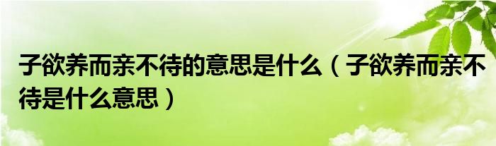 子欲养而亲不待的意思是什么（子欲养而亲不待是什么意思）