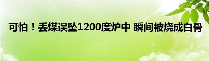 可怕！丢煤误坠1200度炉中 瞬间被烧成白骨 