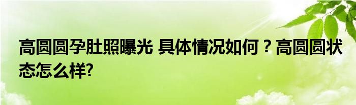 高圆圆孕肚照曝光 具体情况如何？高圆圆状态怎么样?