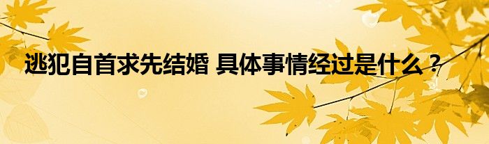 逃犯自首求先结婚 具体事情经过是什么？