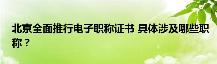 北京全面推行电子职称证书 具体涉及哪些职称？