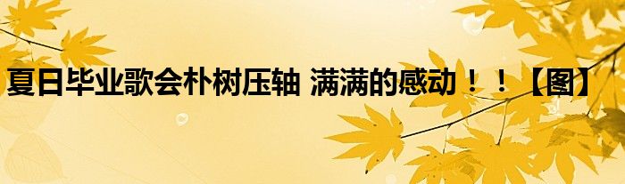 夏日毕业歌会朴树压轴 满满的感动！！【图】