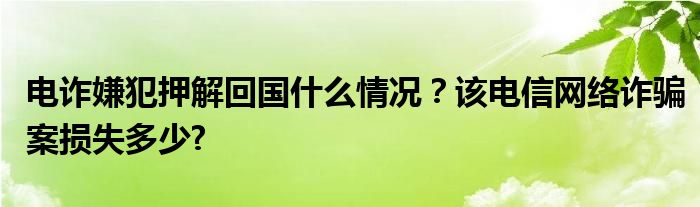 电诈嫌犯押解回国什么情况？该电信网络诈骗案损失多少?